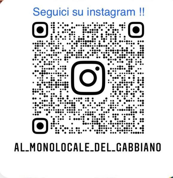Al Monolocale Del Gabbiano. Citra 011016-lt-0623 Apartment
